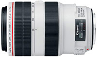 Купити об'єктив Canon 70-300mm f/4.0-5.6L EF IS USM  за ціною від 47000 грн.