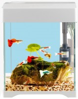 Купить аквариум SunSun AT по цене от 4129 грн.