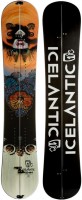 Купити лижі Icelantic Gemini Splitboard 161 (2014/2015)  за ціною від 31050 грн.