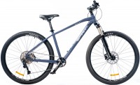 Купить велосипед Spirit Fitness Echo 9.4 29 2021 frame M: цена от 21275 грн.