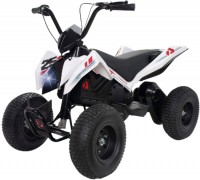 Купить детский электромобиль INJUSA X-Treme Dirt 2x12V: цена от 41580 грн.