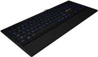 Купить клавиатура Canyon CNS-HKB6: цена от 1007 грн.