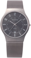 Купить наручные часы Skagen 233XLTTM: цена от 6300 грн.