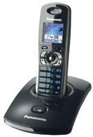 Купить радіотелефон Panasonic KX-TG8301: цена от 2730 грн.